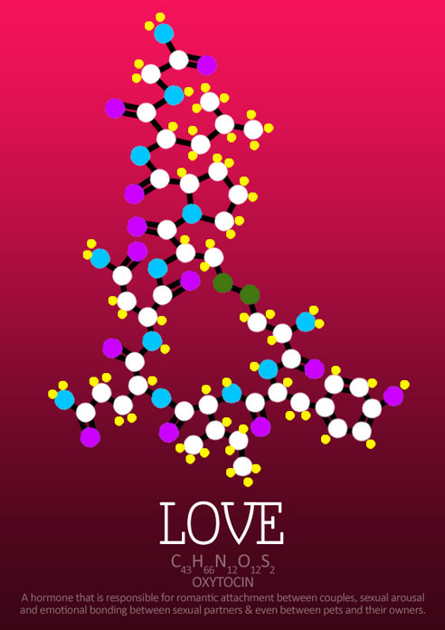 химическая формула влюбленности